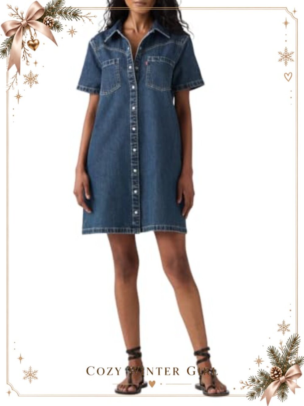 Levi's Louisa Short-Sleeve Denim Dress Casual Relaxed Fit Button-Up